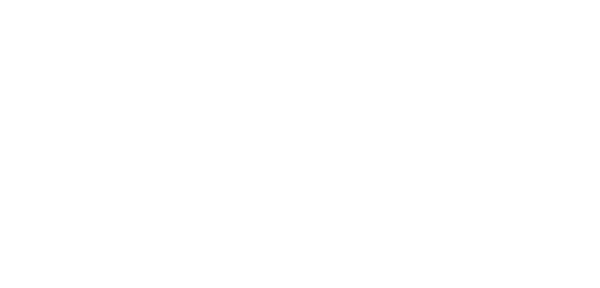 Logo di TUDOR